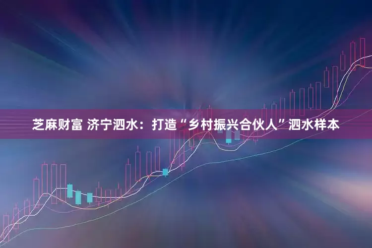 芝麻财富 济宁泗水：打造“乡村振兴合伙人”泗水样本